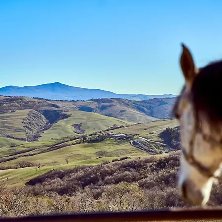 Az.agr. Il Cavalleggero *