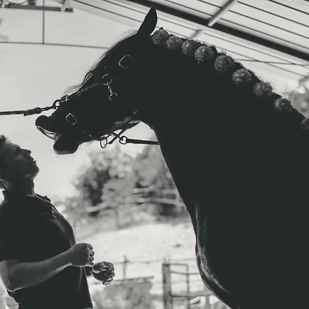 Az.agr. Il Cavalleggero Lantgård Campiglia dʼOrcia