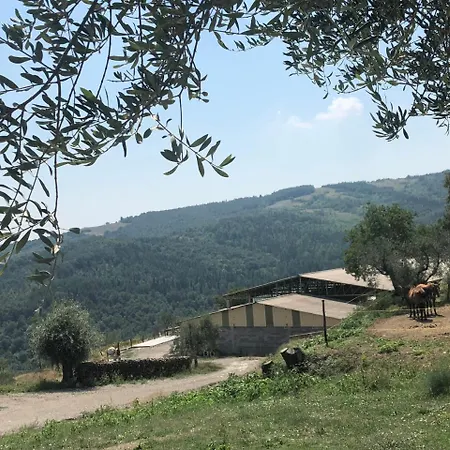 Farm stay Az.agr. Il Cavalleggero Campiglia d'Orcia