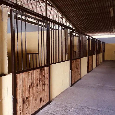 Az.agr. Il Cavalleggero