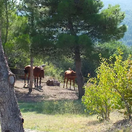 Alloggio per agriturismo Az.agr. Il Cavalleggero