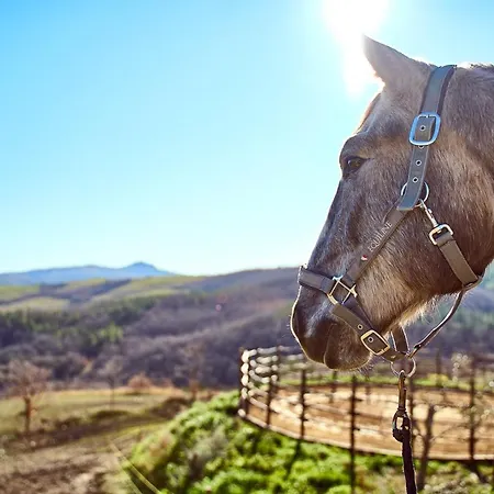 Az.agr. Il Cavalleggero Alloggio per agriturismo *