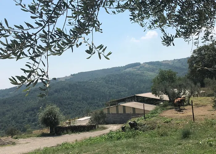 Bauernhof Az.agr. Il Cavalleggero Campiglia dʼOrcia