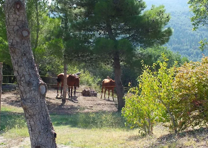 Bauernhof Az.agr. Il Cavalleggero