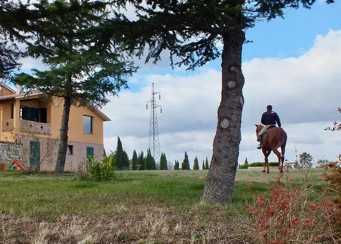 Az.agr. Il Cavalleggero Campiglia dʼOrcia
